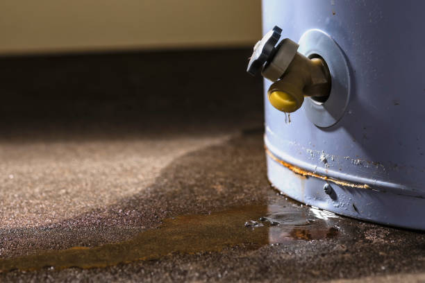 Best Carpet water damage restoration  in Foreman, AR