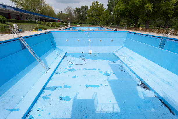 Best Mold removal after water damage  in Foreman, AR