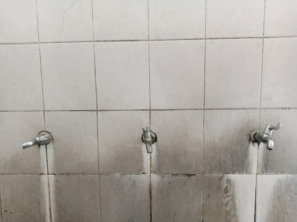 Best 24/7 water damage repair  in Foreman, AR