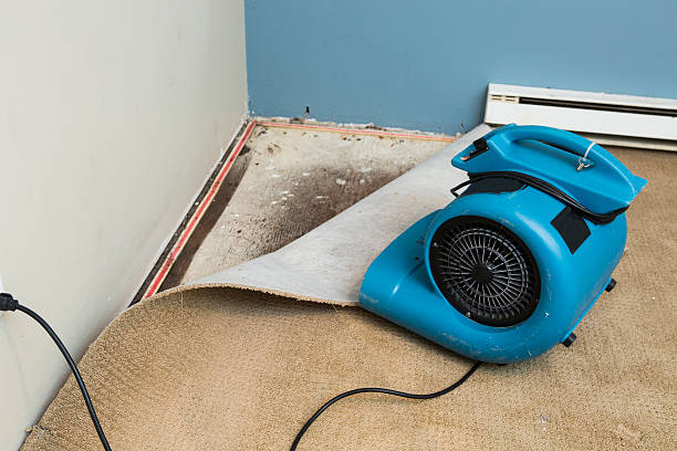 Sewage cleanup and water damage restoration in AR